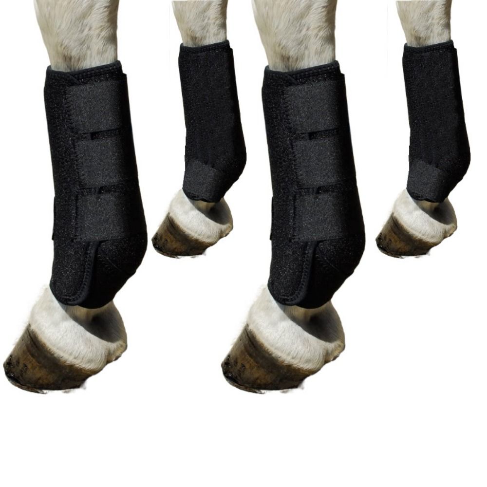 Brushing Boot Horse - Juego de 4 piezas de botas