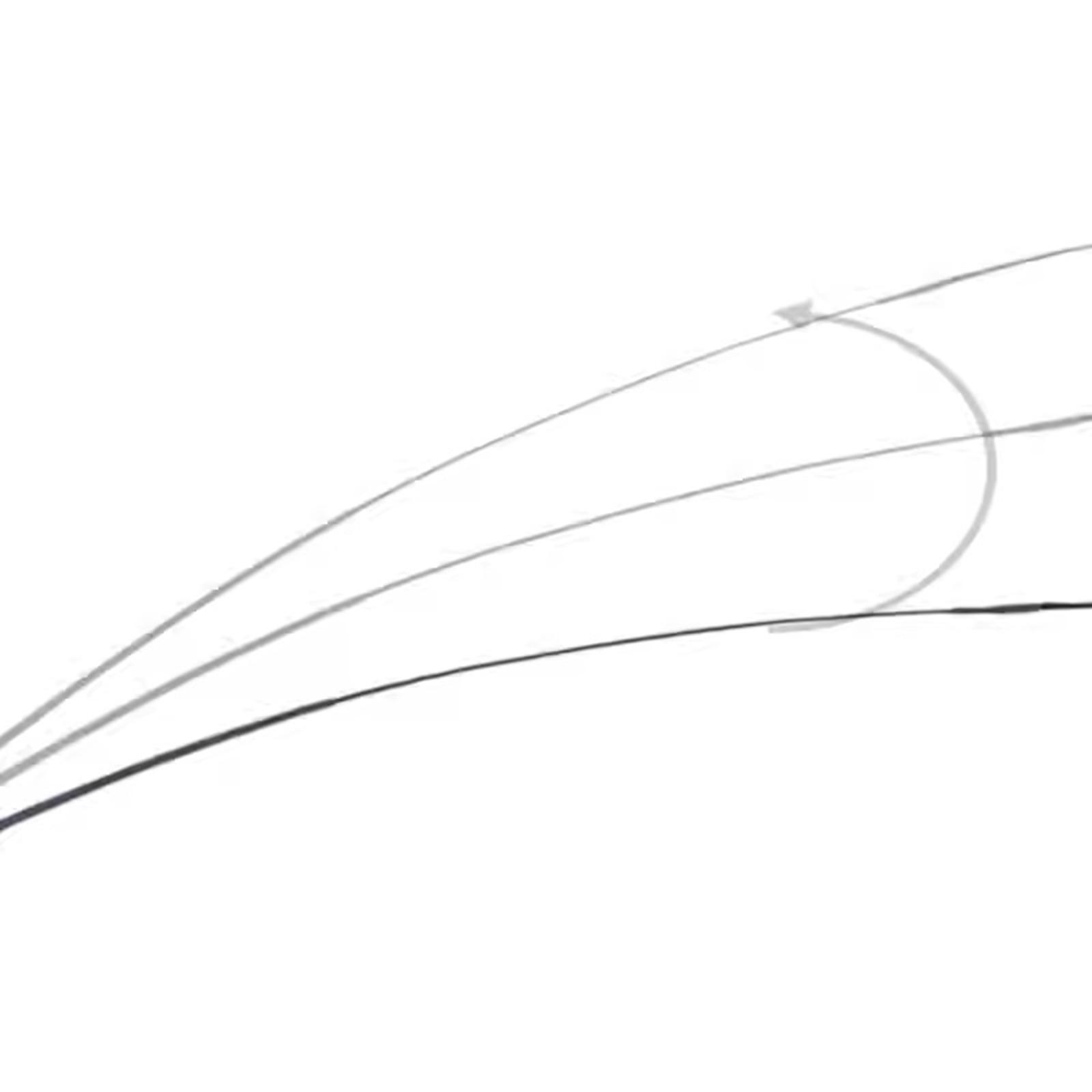 Riding Crop Dressage - Fusta de Equitación Ajustable, Látigo Telescópico,
