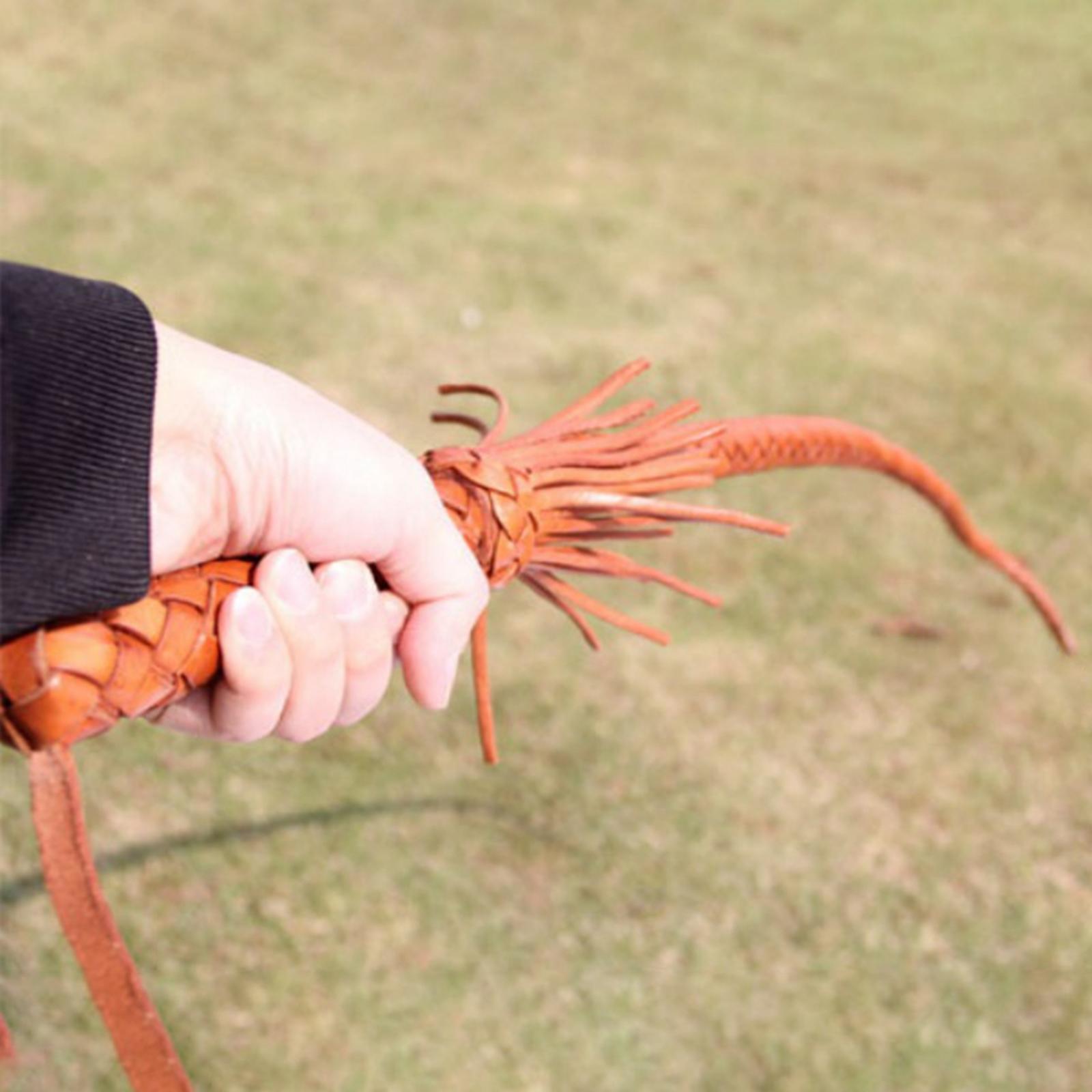 Fusta de equitación de cuero P - Riding Crop Dressage reseña y precio