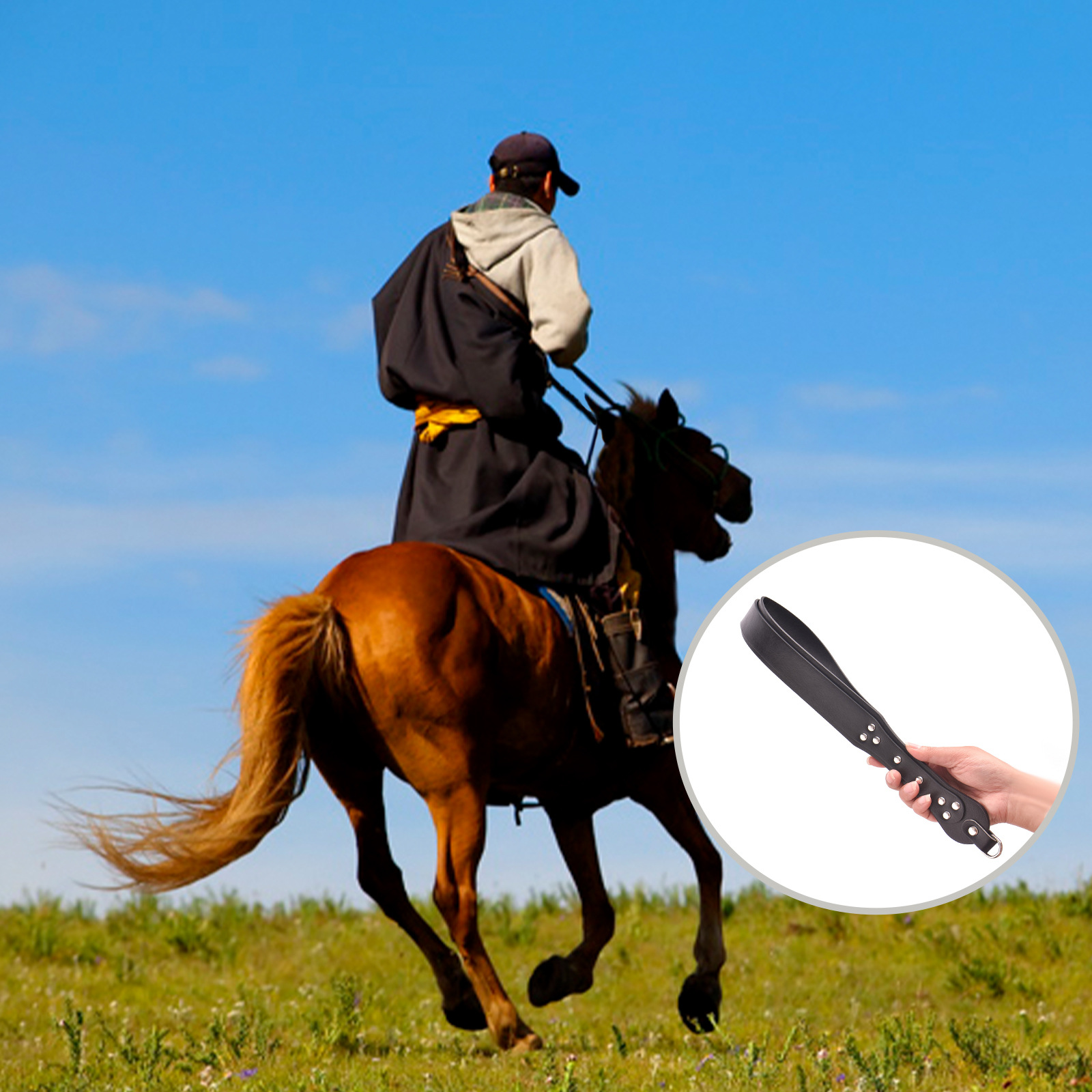Fusta de entrenamiento ecuestr - Riding Crop Dressage reseña y precio