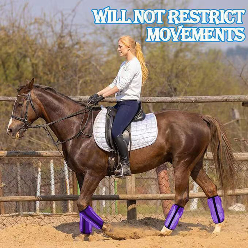 Botas antiaplastamiento para c - Brushing Boot Horse reseña y precio
