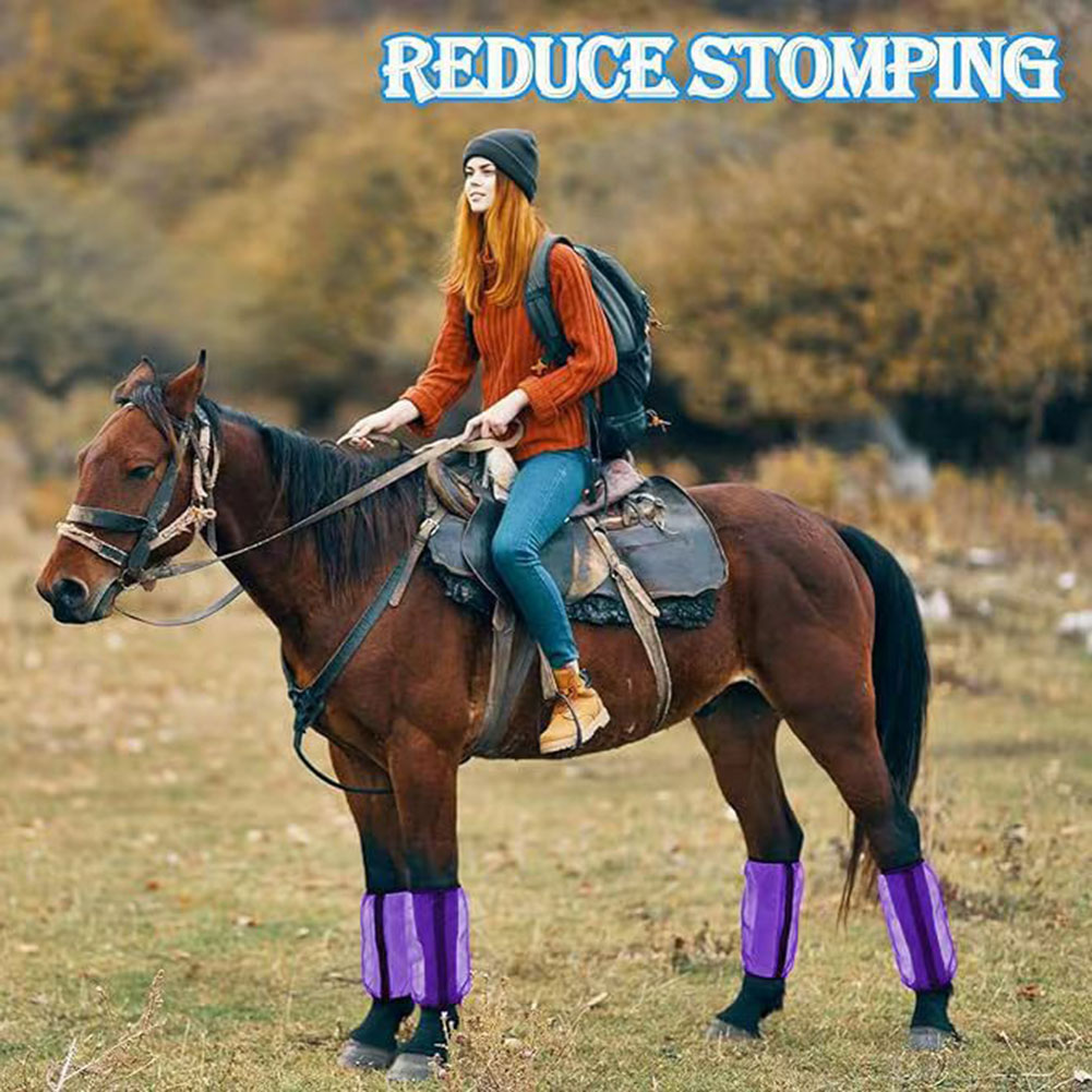 Botas antiaplastamiento para c - Brushing Boot Horse reseña y precio