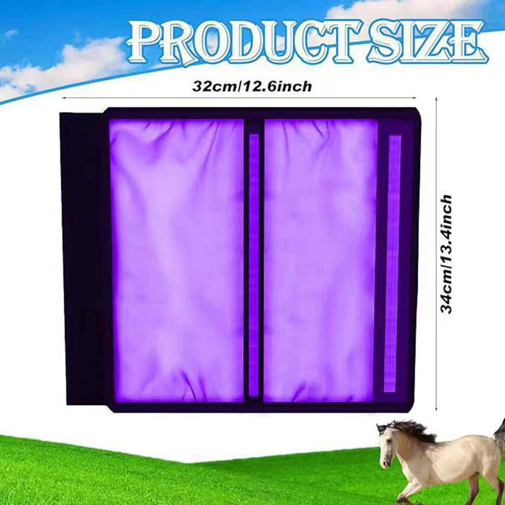 Botas antiaplastamiento para c - Brushing Boot Horse reseña y precio